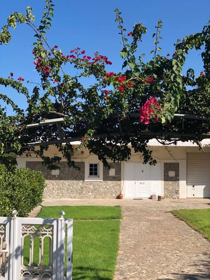 Villa Amalaya Flampouria Εξωτερικό φωτογραφία