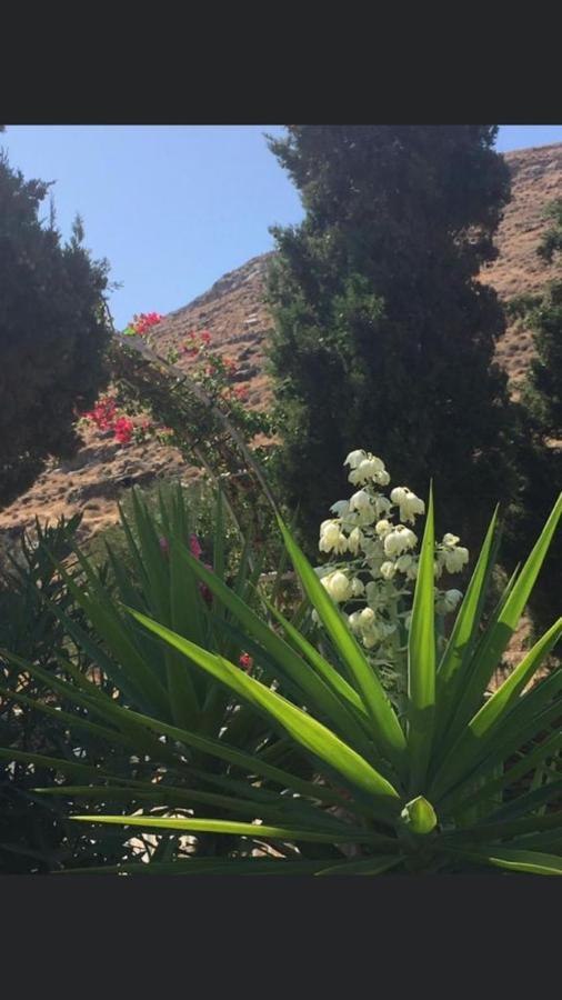 Villa Amalaya Flampouria Εξωτερικό φωτογραφία